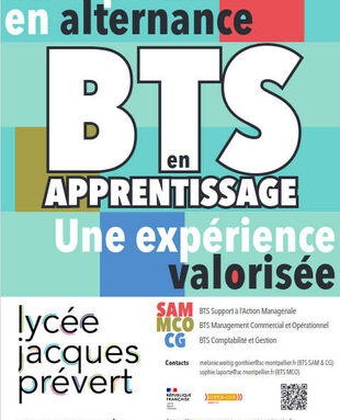 BTS_apprentissage.jpg