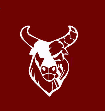 cyborgbulls_logo.jpg