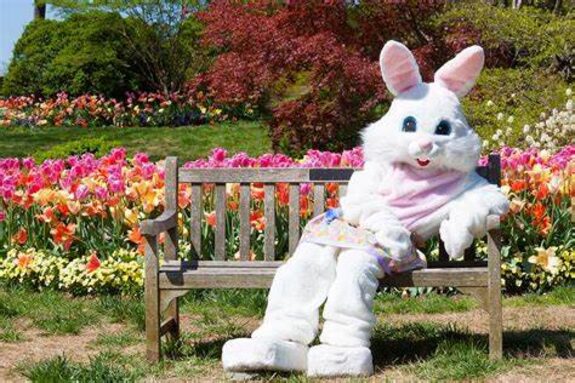 Easter US bunny.jpg