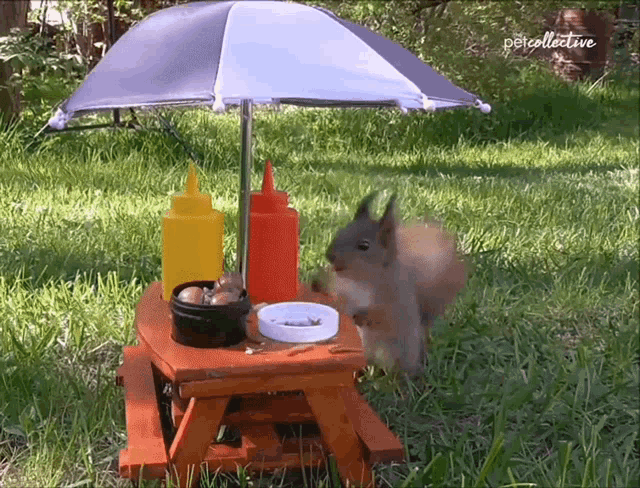picnic gif.gif